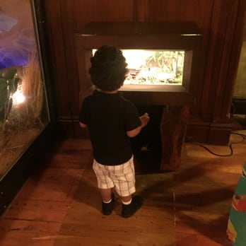 Clifton's Republic - My nephew loves the diorama. - Bars Near Me - Los Angeles, California