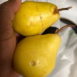 Sprouts Farmers Market - I guess someone poked a whole in these fruits for fun theyre pretty beat up