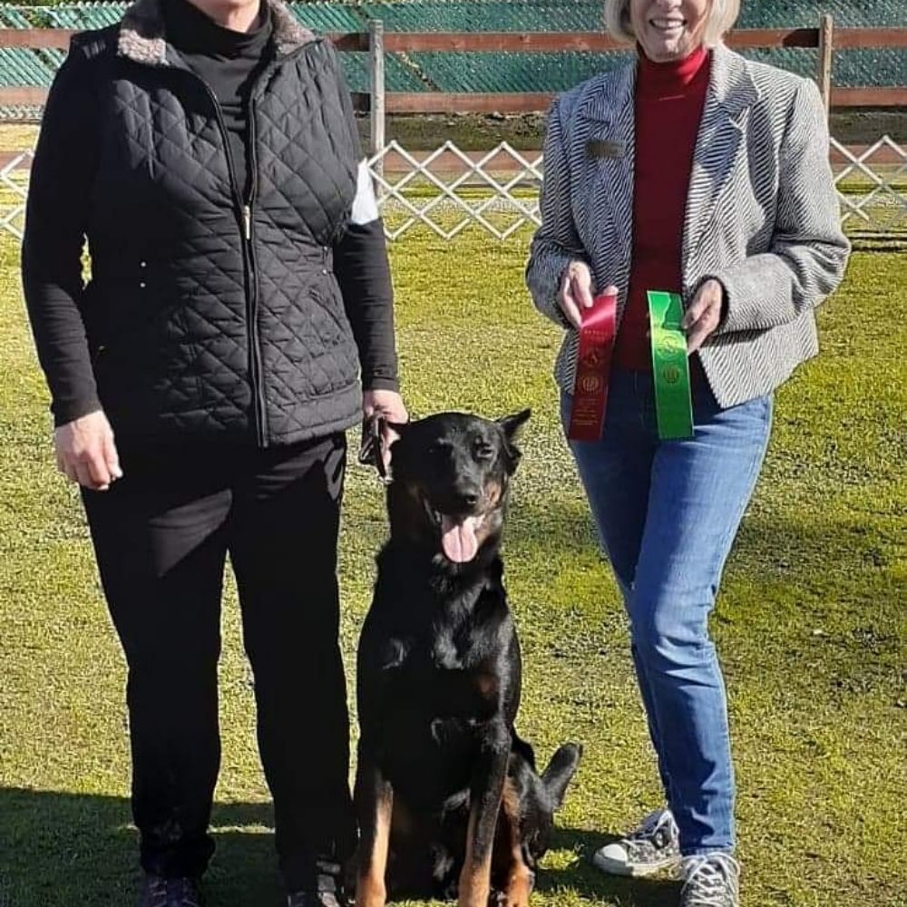 REDEFINED DOG TRAINING Updated March 2024 24 Photos Topeka