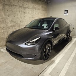 Model Y Performance Model Y Performance