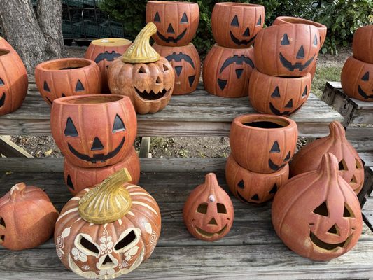 Homestead Gardens by null