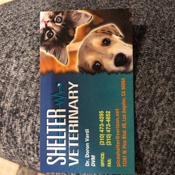 Shelter Veterinary - Dr. Vardi's business card. - Veterinarians Near Me - Los Angeles, California Shelter Veterinary - Dr. Vardi's business card. - Veterinarians Near Me - Los Angeles, California