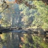 Caney Creek Cascade Falls gift card