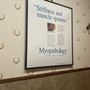 Photo of Hayes Chiropractic Offices