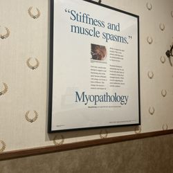 Hayes Chiropractic Offices