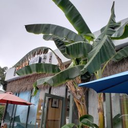 Bite San Diego