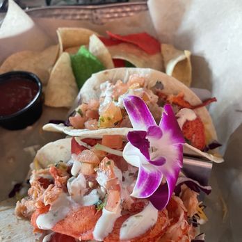 Bar Fly Safety Harbor - Lobster tacos - Seafood Near Me - Safety Harbor, Florida Bar Fly Safety Harbor - Lobster tacos - Seafood Near Me - Safety Harbor, Florida