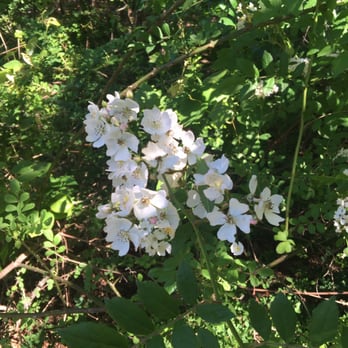 Seatuck Environmental Association - Community Service/Non-Profit Near Me - Islip, New York