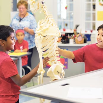 Chapin School - Elementary Schools Near Me - Princeton, New Jersey