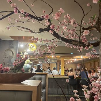 Sushi Junai Omakase - Decorate inside restaurant. - Japanese Near Me - Austin, Texas Sushi Junai Omakase - Decorate inside restaurant. - Japanese Near Me - Austin, Texas