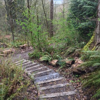 Frink Park - Steps - Hiking Near Me - Seattle, Washington Frink Park - Steps - Hiking Near Me - Seattle, Washington
