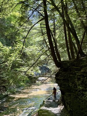 Buttermilk Falls State Park by null