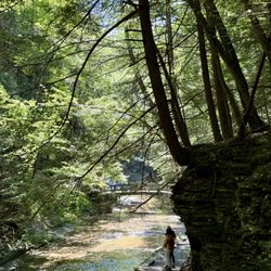 Buttermilk Falls State Park - The bridge to cross the falls on the top