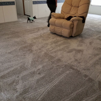 Romanoff Renovations - a living room with a cat on the floor - Flooring Near Me - Eugene, Oregon Romanoff Renovations - a living room with a cat on the floor - Flooring Near Me - Eugene, Oregon