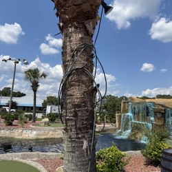 Shipwreck Point Golf - Daisy-chained extension cords