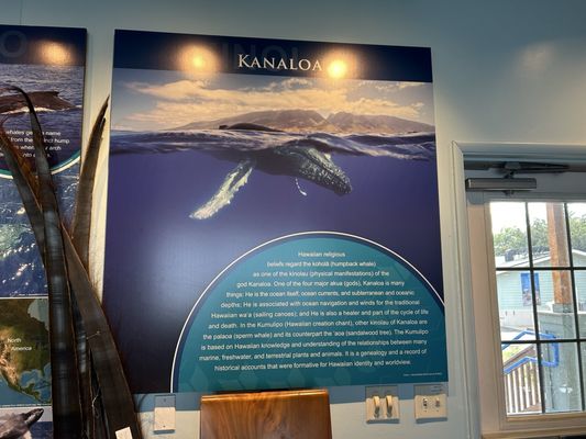 Hawaiian Islands Humpback Whale National Marine Sanctuary Visitor Center by null
