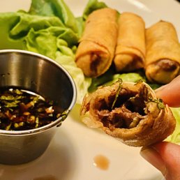 Short Rib Spring Rolls