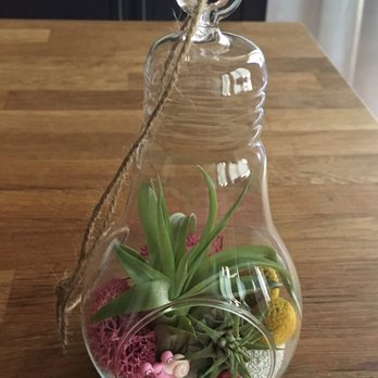 Sunny Florists - Loving my colorful new desk companion! - Florists Near Me - Boston, Massachusetts Sunny Florists - Loving my colorful new desk companion! - Florists Near Me - Boston, Massachusetts