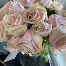 These flowers are 3 days old.