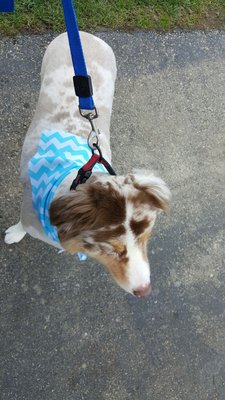 Bubbles and bows near me Clearance