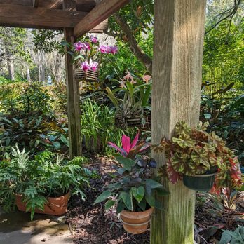 Eureka Springs Park - Parks Near Me - Tampa, Florida Eureka Springs Park - Parks Near Me - Tampa, Florida