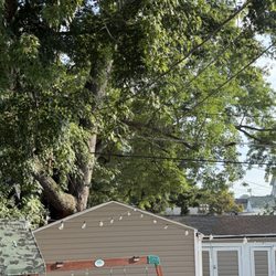 A-Grade Tree Experts - Removal