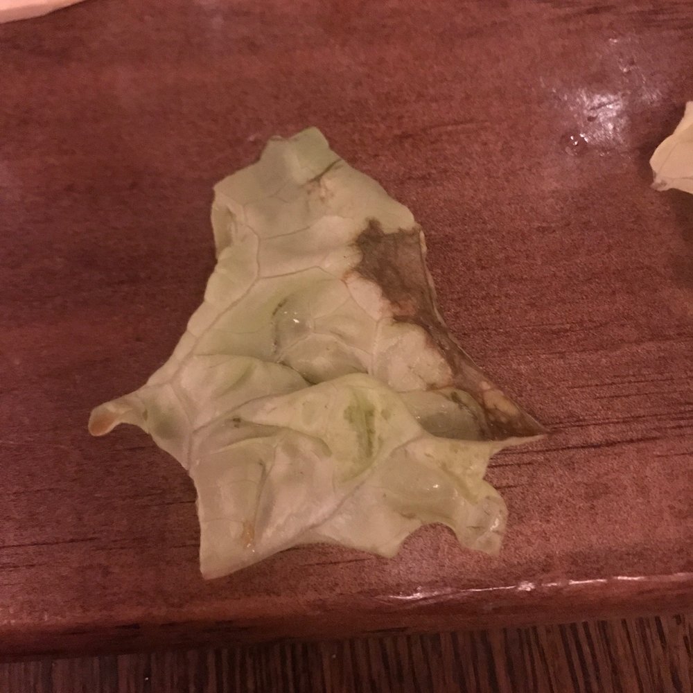 McNellie's - Nasty lettuce - Pubs Near Me - Tulsa, Oklahoma McNellie's - Nasty lettuce - Pubs Near Me - Tulsa, Oklahoma