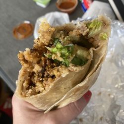 Taqueria Veracruz - Burrito with chicken and jalapeños