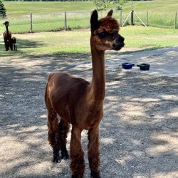 Rainbow Valley Family Farms