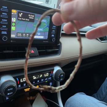 SO Restaurant-Bar - Rope that was inside my rancid steak. - New American Near Me - Little Rock, Arkansas