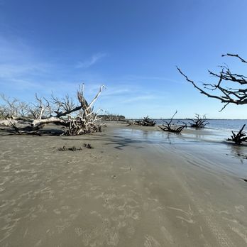 Driftwood Beach - Beaches Near Me - Jekyll Island, Georgia Driftwood Beach - Beaches Near Me - Jekyll Island, Georgia