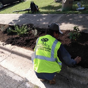 Adam's Lawn Service Austin - Adding mulch - Tree Services Near Me - Austin, Texas
