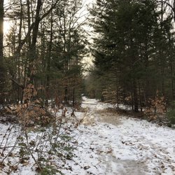 Knight's Pond Preserve - A beautiful way to end 2018. Peaceful walk in the woods