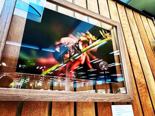 Altadena Library by null