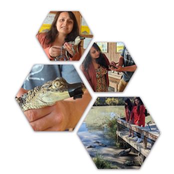 Crocodile Encounter - Zoos Near Me - Angleton, Texas Crocodile Encounter - Zoos Near Me - Angleton, Texas