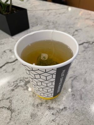 Pilot Coffee Roasters by null