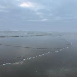 Tiny Tranquility - Beach on the other side of 101