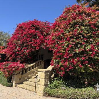 San Ysidro Ranch - Hotels Near Me - Montecito, California San Ysidro Ranch - Hotels Near Me - Montecito, California