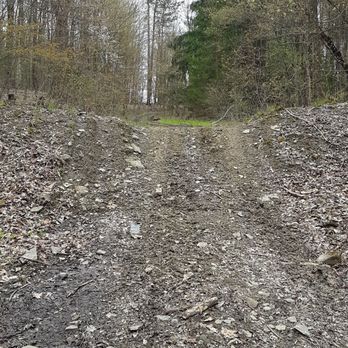 Palmer's Pond State Forest - Although my RAV 4 is pretty sturdy, there's no way I'm going up that. - Parks Near Me Palmer's Pond State Forest - Although my RAV 4 is pretty sturdy, there's no way I'm going up that. - Parks Near Me