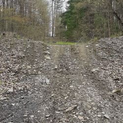 Palmer's Pond State Forest - Although my RAV 4 is pretty sturdy, there's no way I'm going up that.