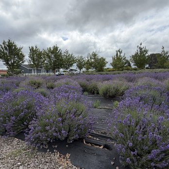 Charsaw Farms - Farms Near Me - Napa, California