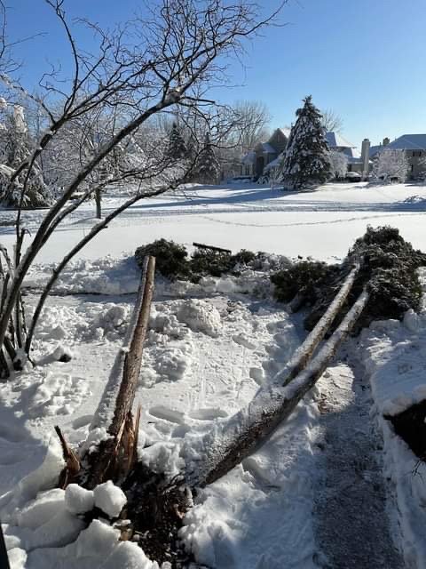 Slide of Curt’s Services