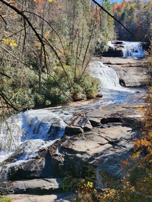 DuPont State Recreational Forest by null