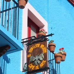 El Zopilote Mojado Hostal-café-té-arte