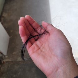 Wally's Barbershop - Went to recut my undercut and this is what i found when i took my hair out of a bun. This is not all the hair that came out.