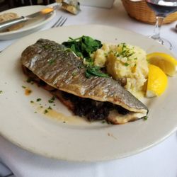 Cottage Inn Mediteranean Cuisine - Snapper dish
