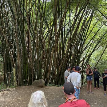 Kipu Ranch Adventures - Tours Near Me - Lihue, Hawaii Kipu Ranch Adventures - Tours Near Me - Lihue, Hawaii