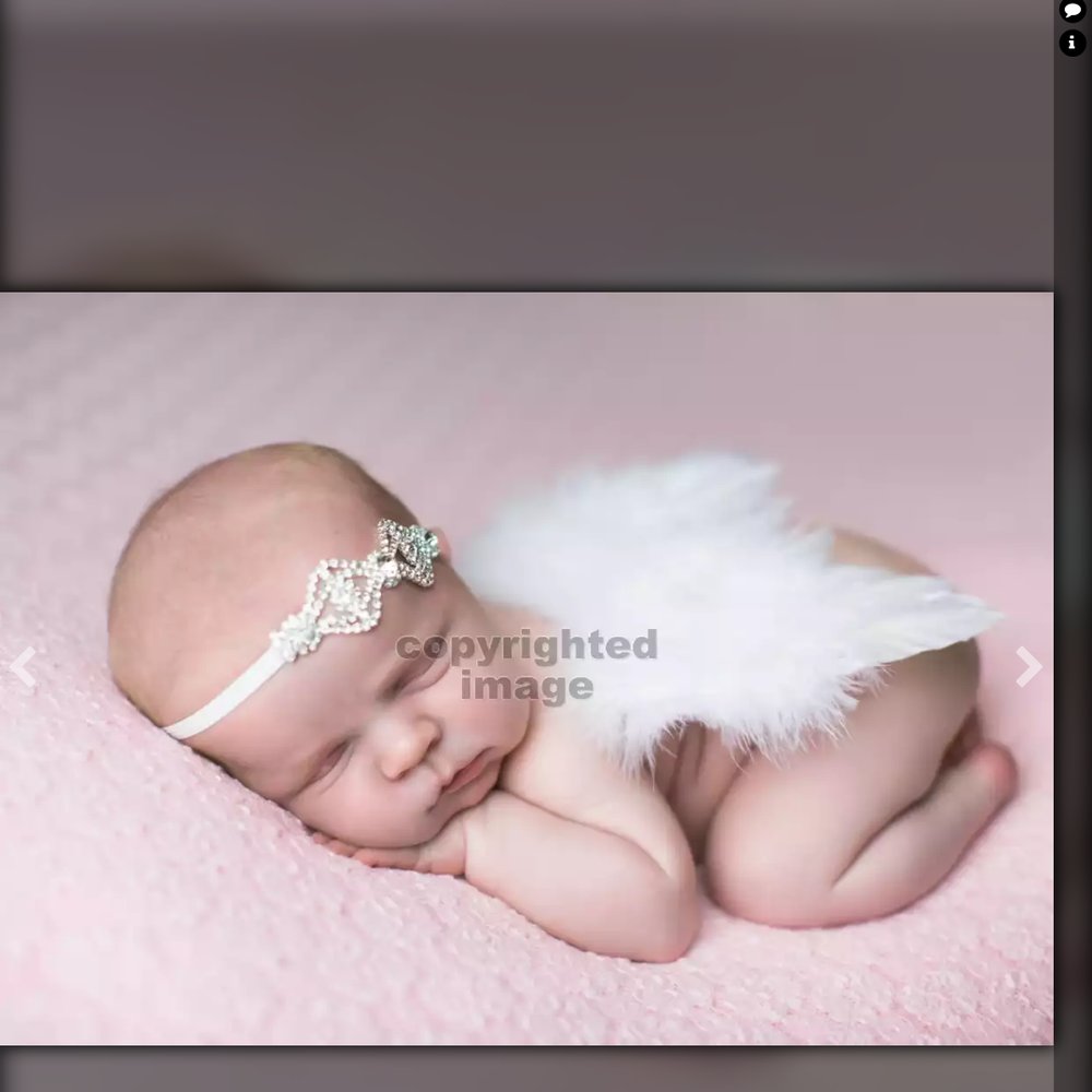 Gretchen Barros Photography - Session Photography Near Me