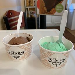 Mint Chocolate Chip Ice Cream