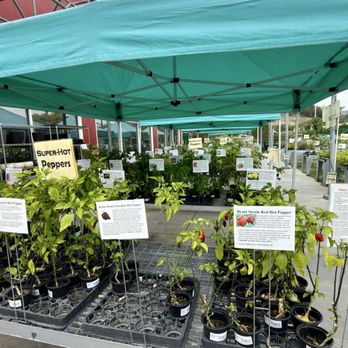 Cal Poly Pomona Farm Store - Great selection of peppers. - Fruits & Veggies Near Me - Pomona, California